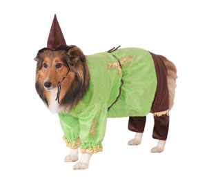 Scarecrow Pet Costume