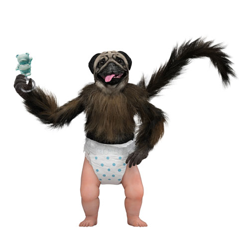 MTN Dew Kickstart PuppyMonkeyBaby