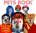 pets rock