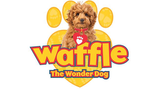 wafflethewonderdog