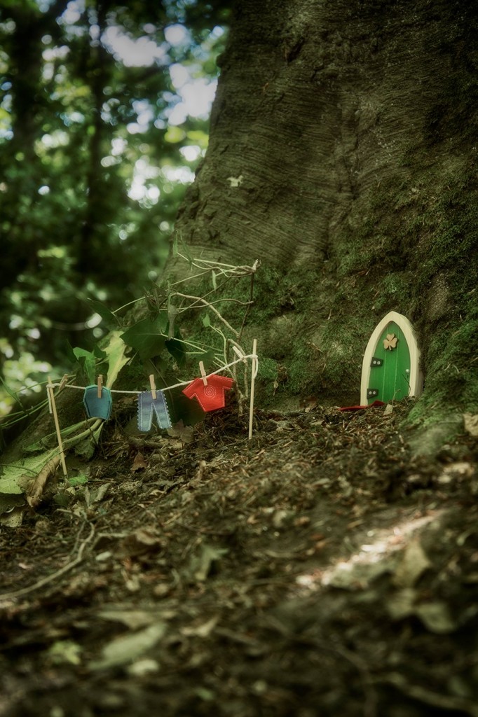 Irish Fairy Doors 3