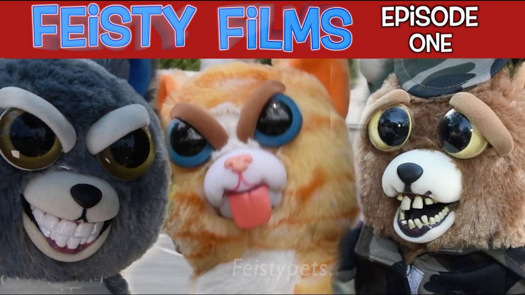 feistyfilms