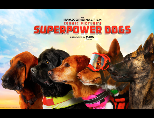 superpower-dogs-licensee