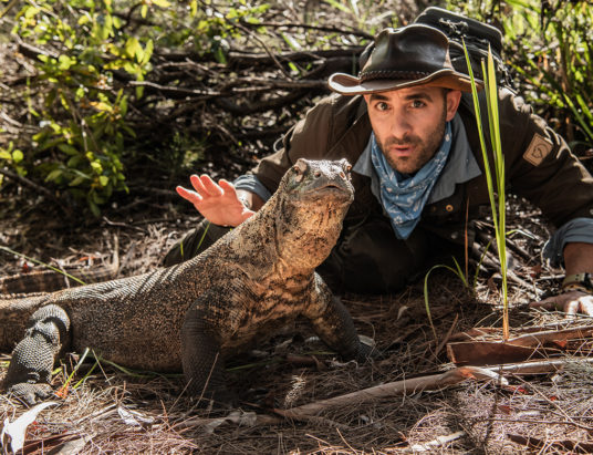Discovery-CoyotePeterson