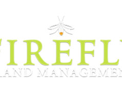 firefly-logo 1024x576