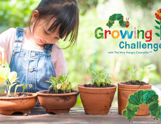 eric carle growing challenge