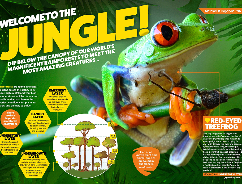 DC Thomson, Discovery Launch Animal Planet Magazine - aNb Media, Inc.