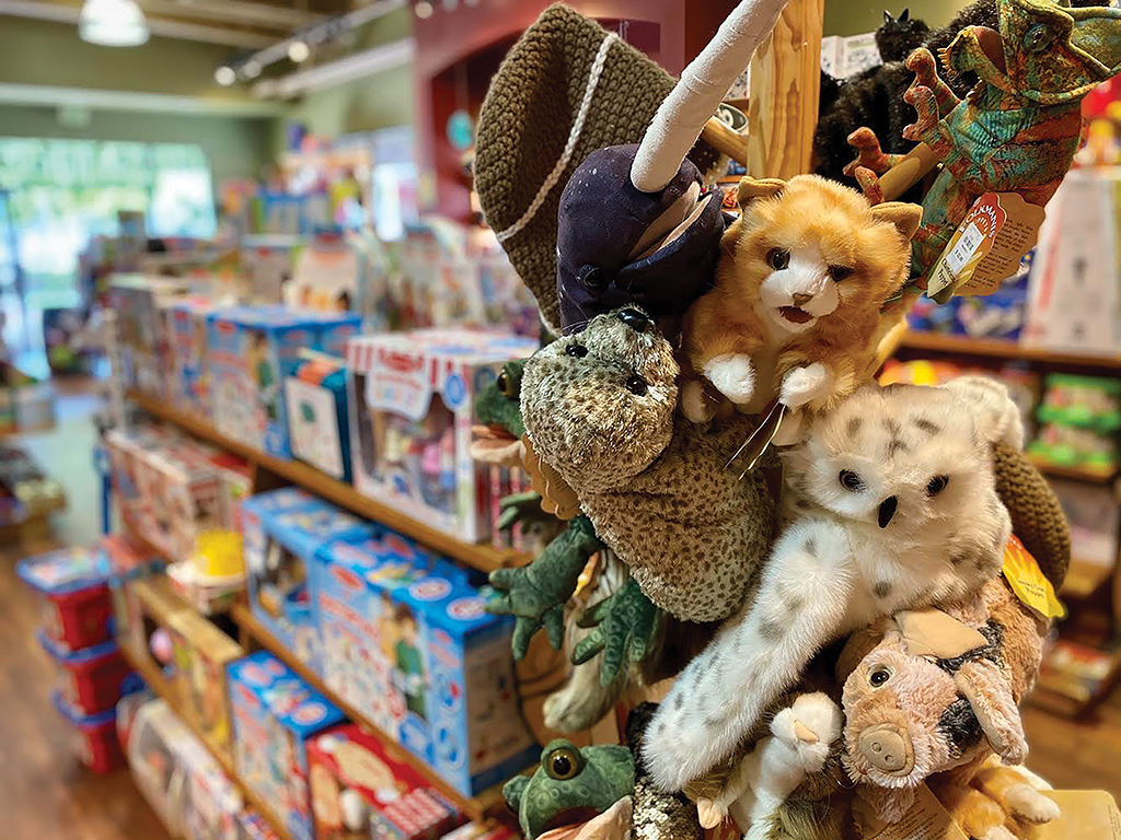 Back Open for Business: Independent Toy Retailers Reflect on 2020 - aNb  Media, Inc.
