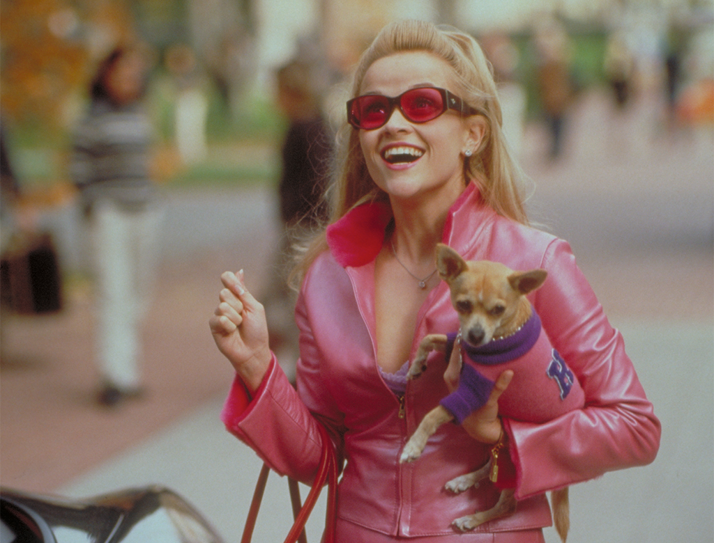 mgm-legally blonde