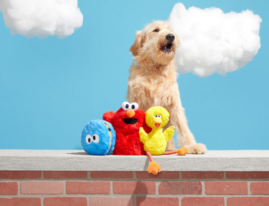 Sesame Street-BARK