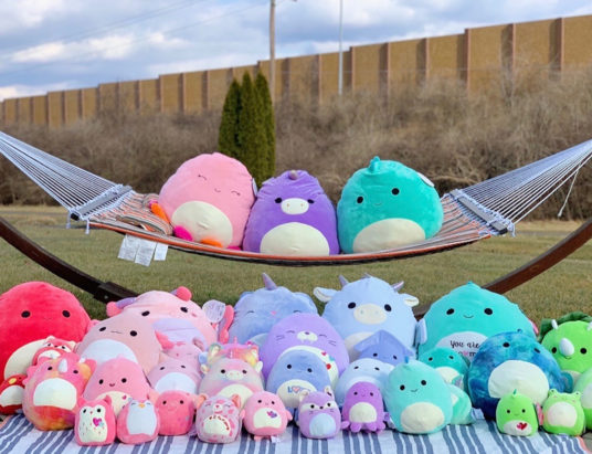 squishmallows-caa