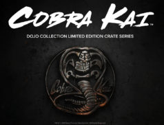 Cobra Kai Loot Crate