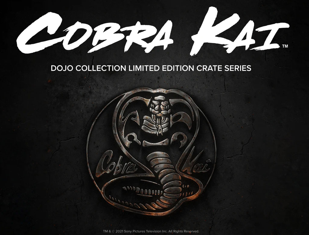 Cobra Kai Loot Crate