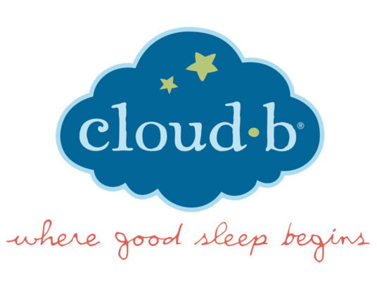 Cloud b Logo