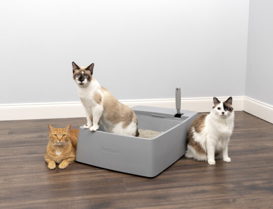 Multi-Cat Litter Box PetStages