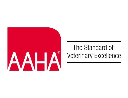 AAHA Logo Con Technician of the Year