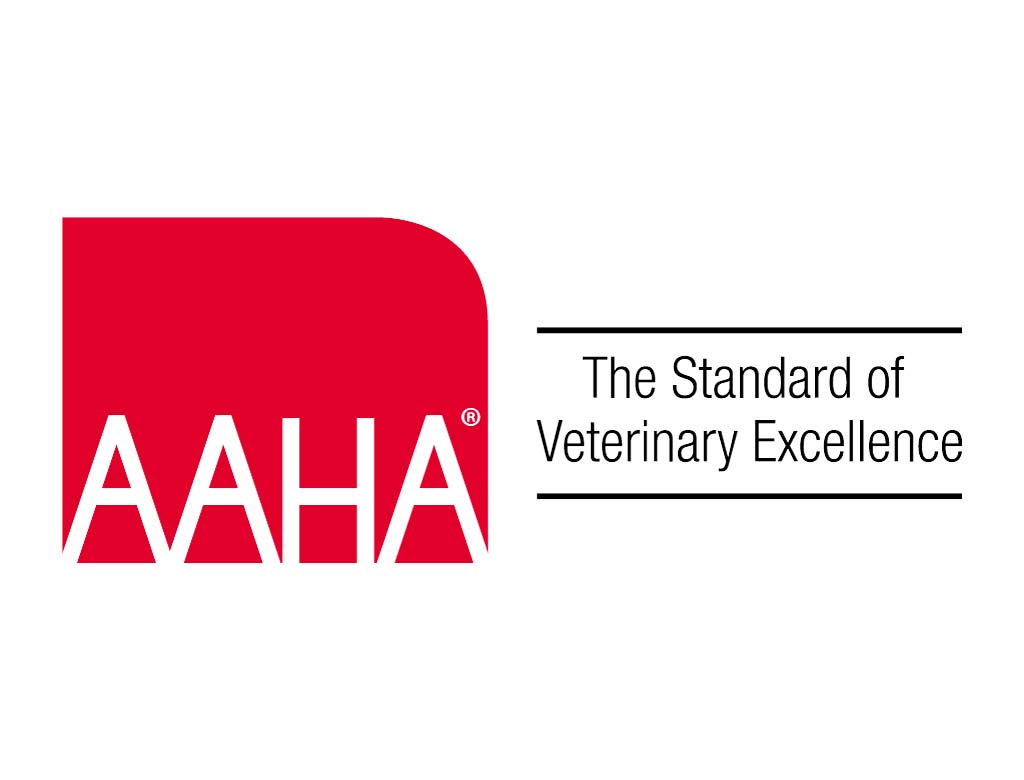 AAHA Logo Con Technician of the Year