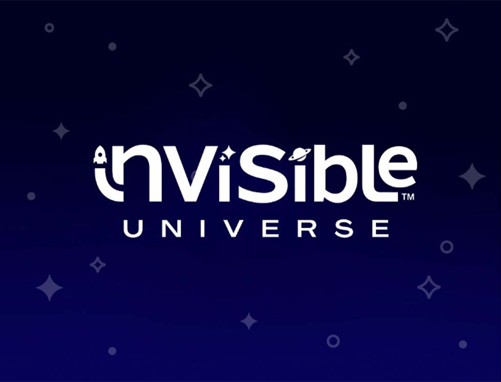 Invisible Universe