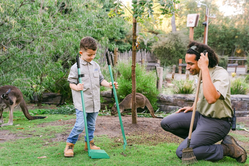 Doo Doo Kangaroo - Kangaroo Cleanup Crew 2 - Credit Chelsea Loren