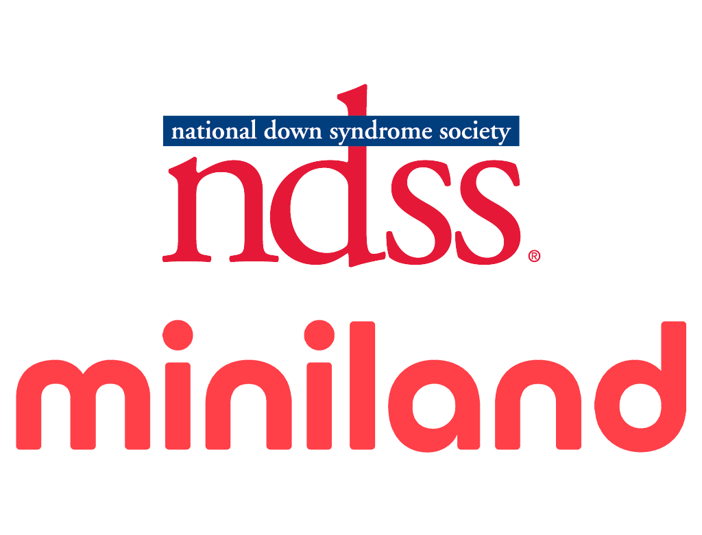 NDSS miniland