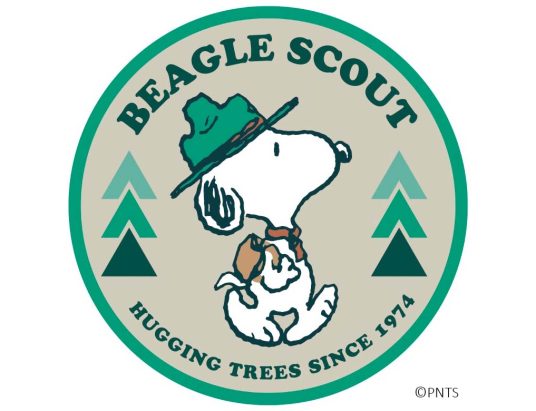Beagle Scout Seoul