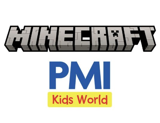 minecraft pmi world